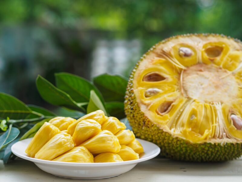 ‘वेज मीट’ जैकफ्रूट! : Benefits of eating jackfruit in Hindi | कटहल खाने के फायदे