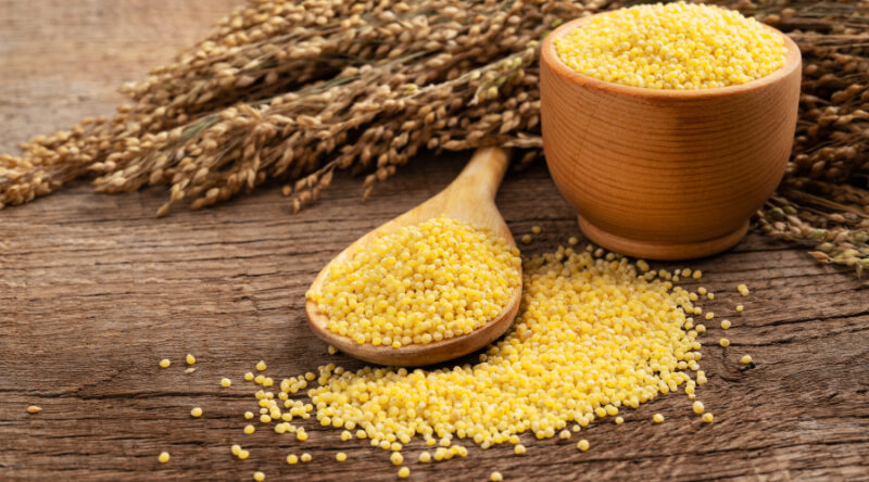 Millet in Hindi