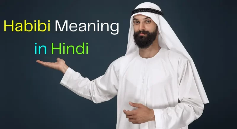 Habibi Meaning In Hindi