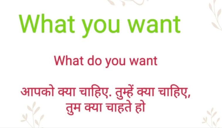 What you want meaning in Hindi